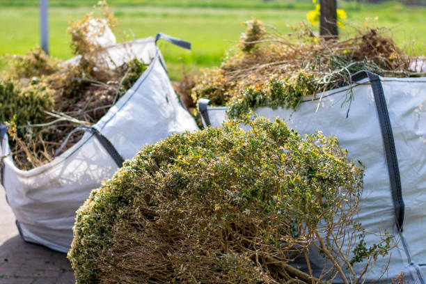 Trash Removal Near Me in Cottage Grove, MN